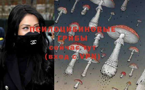 прущие крисы Алексин