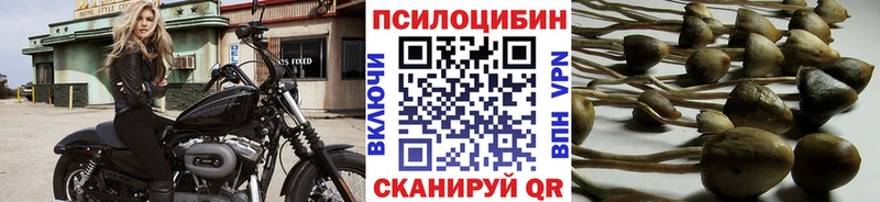 Галлюциногенные грибы Cubensis  Новошахтинск 