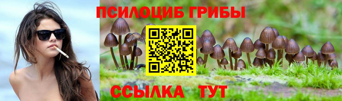 Галлюциногенные грибы мухоморы  Вход с VPN  Новошахтинск  Псилоцибиновые грибы MAGIC MUSHROOMS 